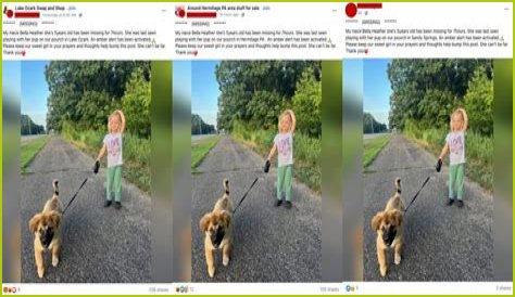 The Bella Heather Missing Scam Exposed!